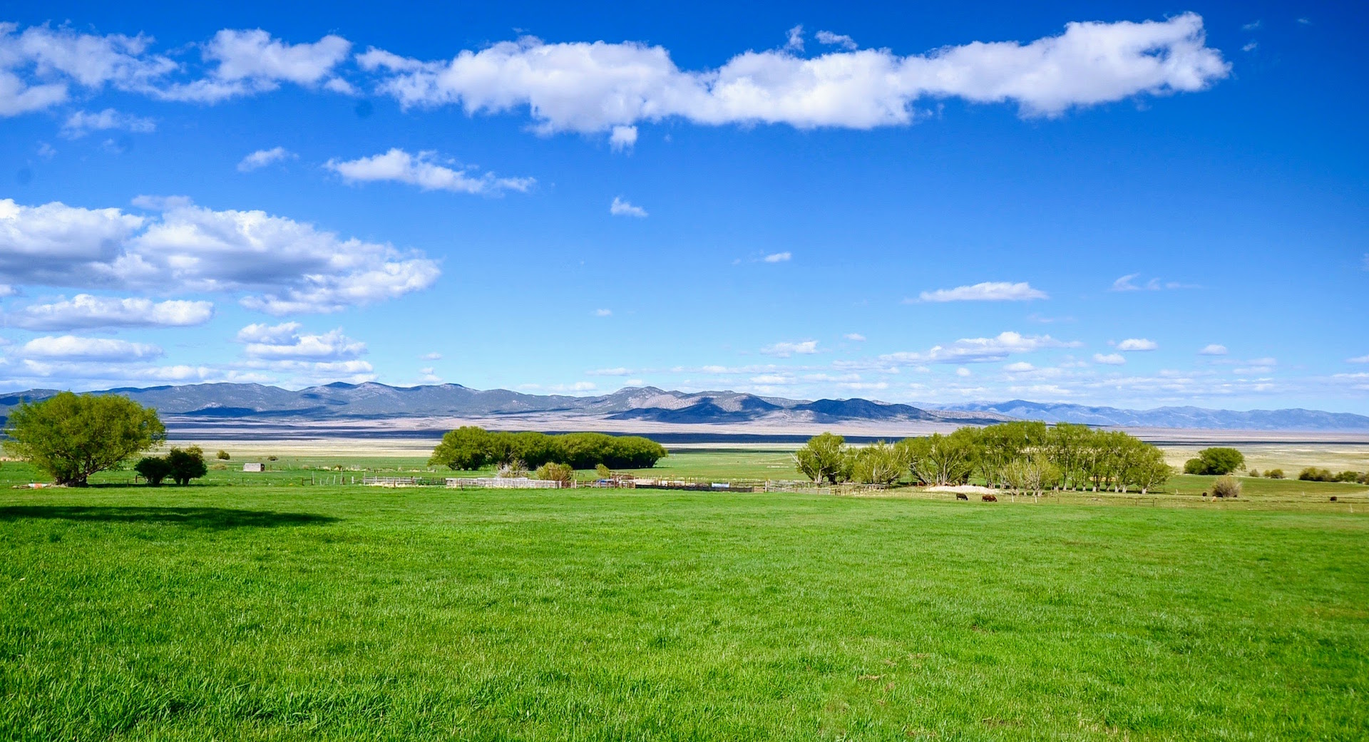 Clover Valley Ranch Sold Nevada Hall and Hall